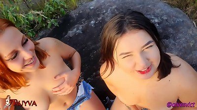 two  and a brush in the middle of the woods