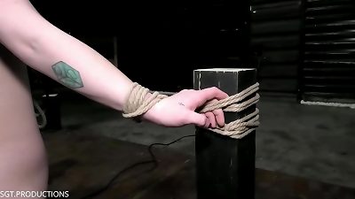 curious cute tiny damsel Amy Quinn Gets dominated pt.1