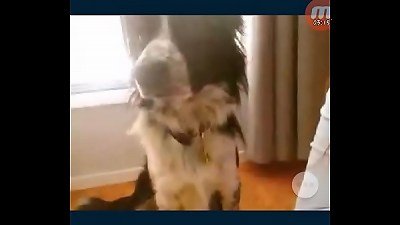 mobizen 20170321 231218