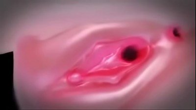 3d MMD The Kanon sex showcase